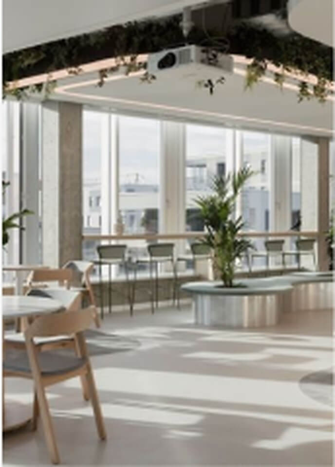 Sunlit office lounge with plants and seating