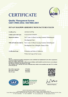 Certificate 1