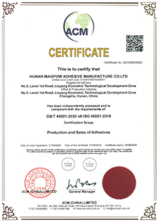 Certificate 6